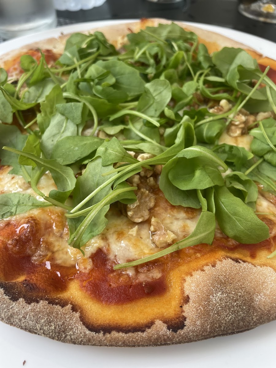 O Grao Da Mesma Mo-4